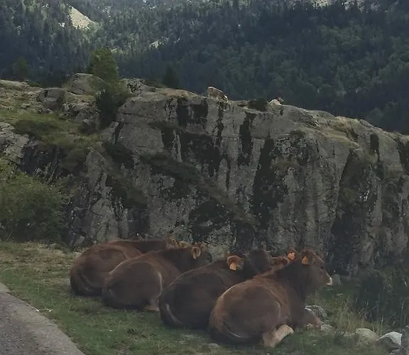 Lägenhet Ca De Marti Bohí
