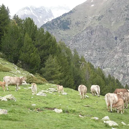 Ca De Marti