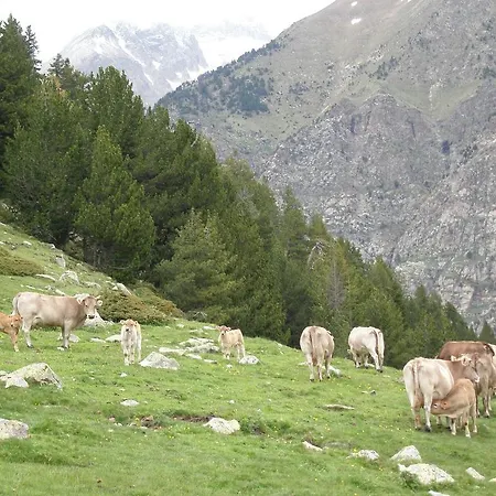 Ca De Marti