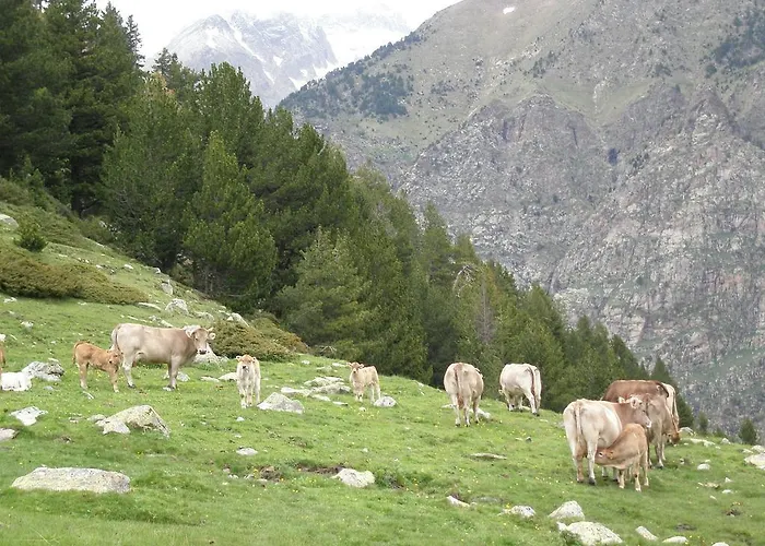 Ca De Marti